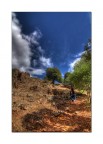 Hdr No4