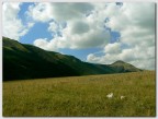 intervallo 4