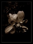 Silent Memory