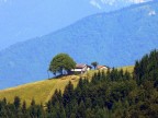 Un paesaggio su per il monte grappa