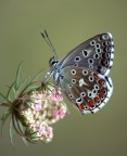 eccoci....