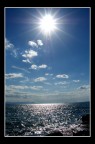 Controluce