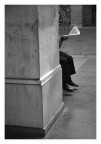 il lettore
