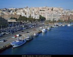 Karalis