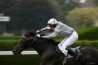 Panning ippico