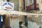 Immagine scannerizzata!