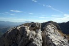 fatto a 18mm con il 18-55 canon
f7,1 
1/500s