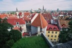 TALLIN