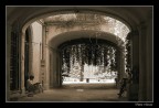 Bene accette le critiche ed i consigli.
Scattata con 18-55 del kit Canon f6.3 1/60sec iso 200