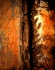 Roots