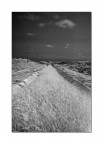 Ir Test No2