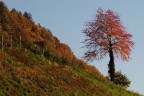 passeggiata d'autunno