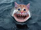 pescegatto