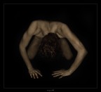 ego #6