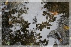 l'autunno