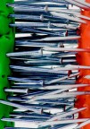 viva l'italia