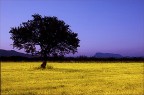 San teodoro