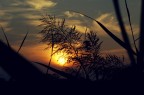 Only a sunset