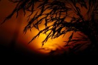 Only a sunset