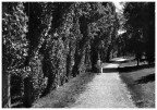 Fuji S5000