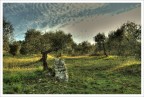 muretto