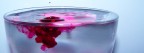 colore 1