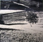foto digitale di stampa analogica (il massimo!!)