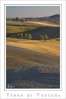 Terra di Toscana