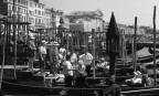 tutte in fila diligentemente