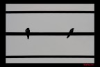 note