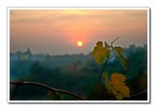 Sempre per la serie sul lavoro del vino, il calare del sole in vigna.