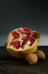 melonoci
