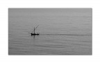 A lone rider