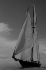 Vele d'Epoca - 1