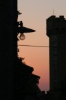 Profili al tramonto a Bolgheri