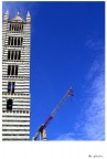 db_uomo_di_siena