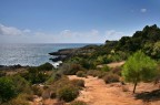 Cilento - agosto 2006