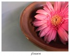Flower#1