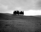 Foro stenopeico su lastra 4'x5'. Esposizione 5 min su Ilford FP4 - Lastra inserita erroneamente al contraro.