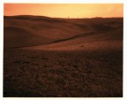 Per errore ho scansionato il negativo BN (4'x5', forostenopeico, ecc.) come negativo colore. L'Epson di sua sponte ha deciso che la mia foto doveva essere cos.
Forse anche le macchine hanno un'anima, chiss.