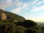 Panorama 7900