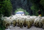 blocco stradale