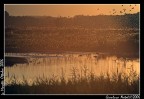 Alla foto nn sono stati applicati nessun artefatto postwork, sono solo stati ritoccati i livelli manuale e ho aggiustato leggermente luci e ombre.