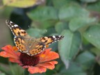 ho provato a isolare di pi il soggetto della macro.. cos va bene?