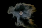 moon light