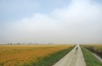 Autunno in Lomellina