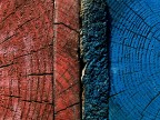 " Texture "