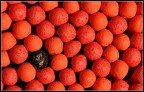 Questa  l'immagine che ho realizzato per il contest "Texture", sono fiammiferi da cucina fotografati dall'alto con ottica macro (Nikon D70 - Nikkor Micro 105), luce primaria con faretto alogeno a 60 dal soggetto e panello di schiarita bianco dal lato opposto.