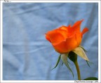 Per te....