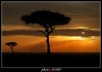 kenya 05
